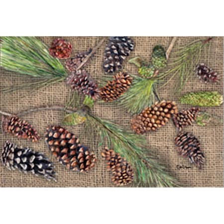 Jensendistributionservices Pine Cones Moisture Wicking Fabric Standard Pillowcase - 20 x 30 in. MI227547